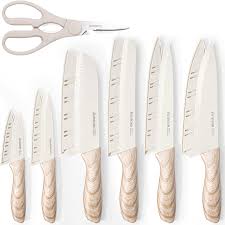 Astercook Knife Set